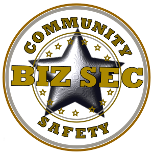 bizsecure300